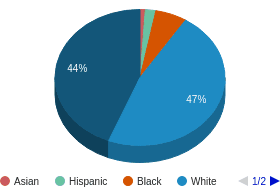 IN All Ethnic Groups Ethnicity Breakdown IN All Ethnic Groups Ethnicity Breakdown