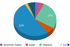 AZ All Ethnic Groups Ethnicity Breakdown AZ All Ethnic Groups Ethnicity Breakdown