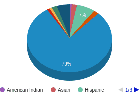 UT All Ethnic Groups Ethnicity Breakdown UT All Ethnic Groups Ethnicity Breakdown