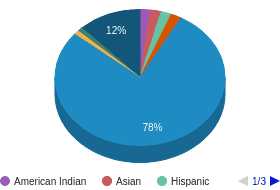 VT All Ethnic Groups Ethnicity Breakdown VT All Ethnic Groups Ethnicity Breakdown