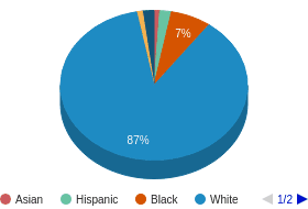 WV All Ethnic Groups Ethnicity Breakdown WV All Ethnic Groups Ethnicity Breakdown