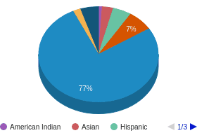 WI All Ethnic Groups Ethnicity Breakdown WI All Ethnic Groups Ethnicity Breakdown