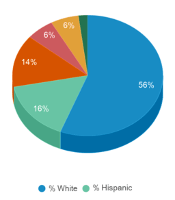 This chart displays the percentage breakdown of students of all ethnic groups in Frederick Community College. This chart displays the percentage breakdown of students of all ethnic groups in Frederick Community College.