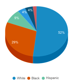 This chart displays the percentage breakdown of students of all ethnic groups in South Carolina. This chart displays the percentage breakdown of students of all ethnic groups in South Carolina.