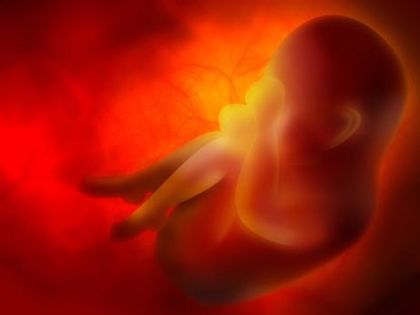 Community College Expelled Nursing Student for Placenta Facebook Picture: The Controversy Community College Expelled Nursing Student for Placenta Facebook Picture: The Controversy