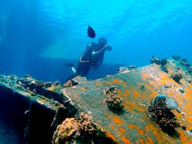 Careers: Marine Biologist Careers: Marine Biologist