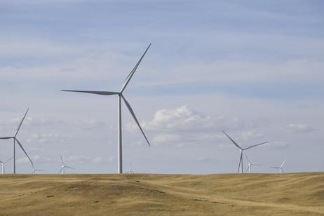 Community Colleges and Careers in Climate Tech and Green Energy