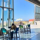 Coastline Community College Photo - Love where you learn at Coastline College.