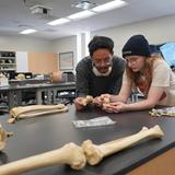 Crafton Hills College Photo #5 - Anthropology Lab
