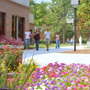 East Georgia State College Photo #10