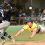 Potomac State College of West Virginia University Photo #9