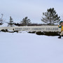 Herkimer County Community College Photo #6 - The Herkimer General flexing in the snow!